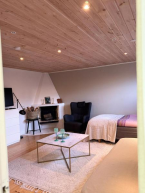 Coosy authentic swedish wooden studio apartment, 25 min to Stockholm city-Own entrance, Stockholm